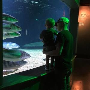 Meet your Posher, Cameron